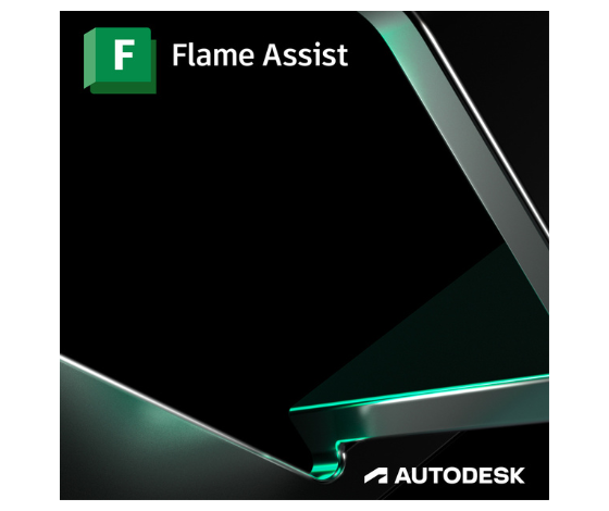 Autodesk Flame Assist 2025